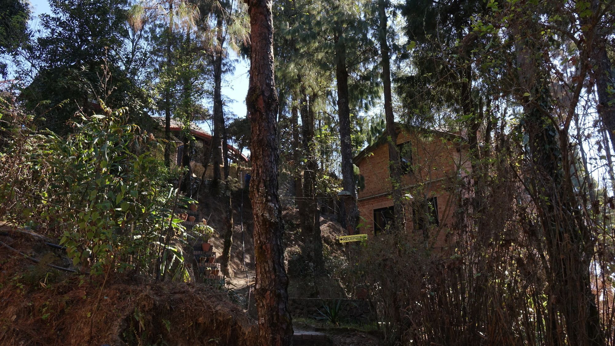 Hotel At The End Of The Universe Nagarkot Exteriör bild